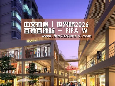 案例展示一(图1)
