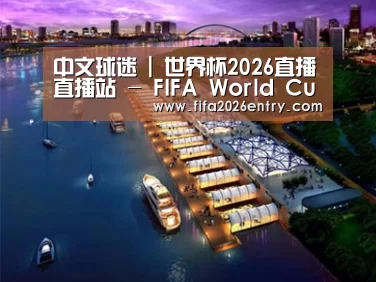 案例展示八