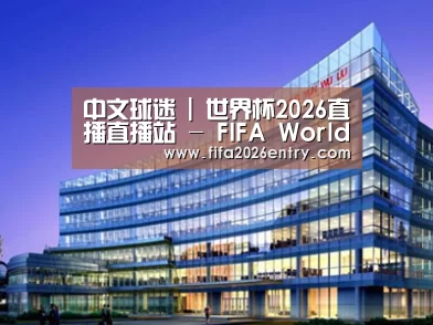案例展示五
