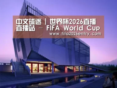 案例展示六