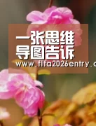 世界杯资讯